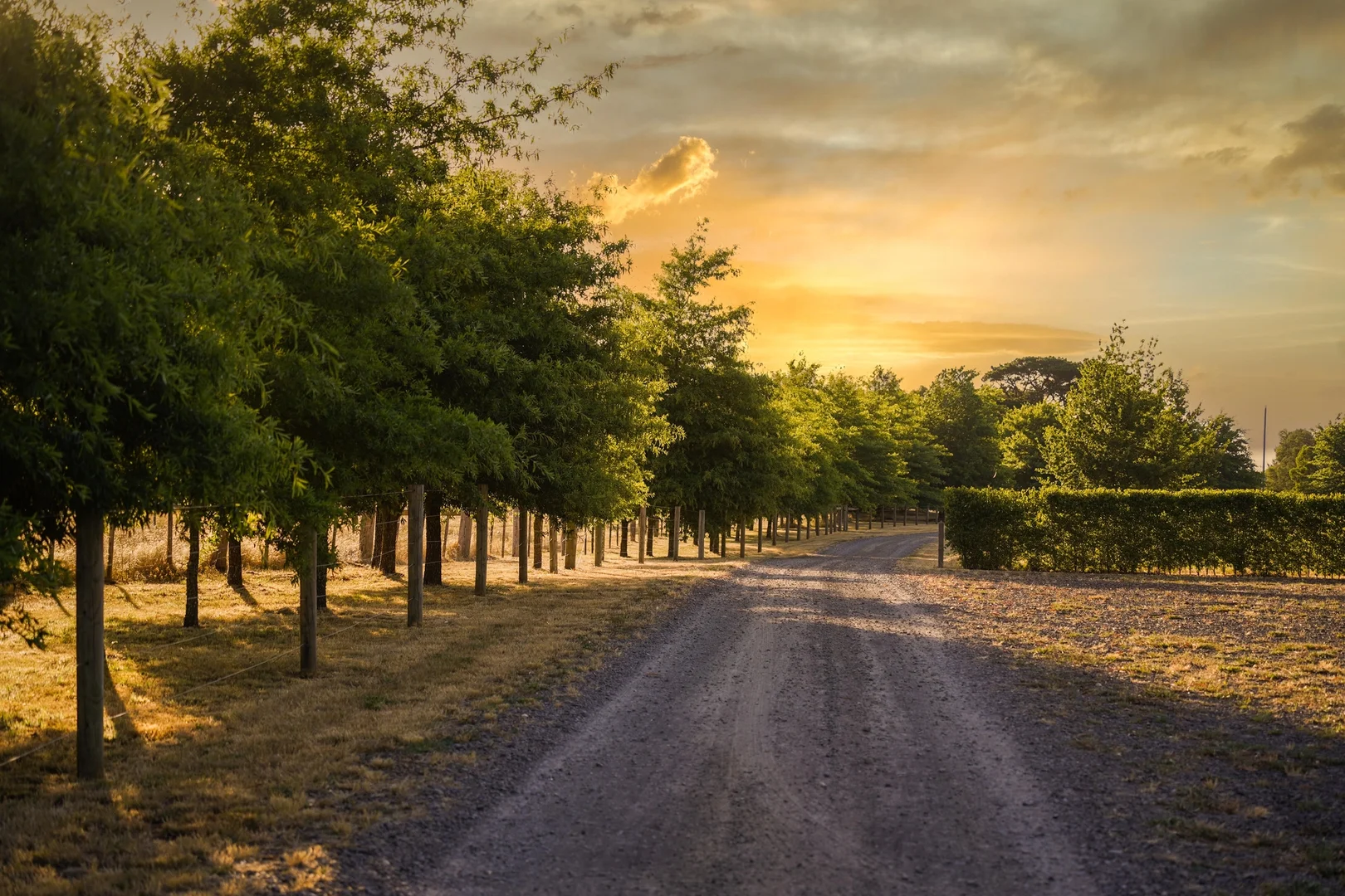 Additional image 3 of 20 Belty Drive, Denver VIC 3461