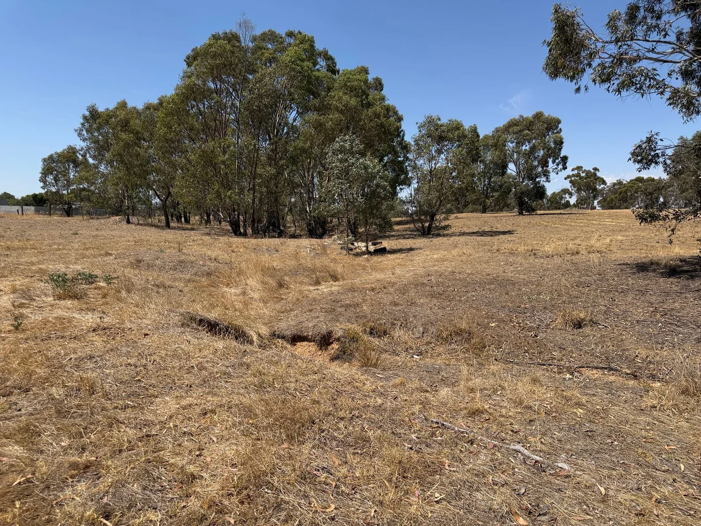 Additional image 2 of 20 Du Bourg Road, Bowenvale VIC 3465