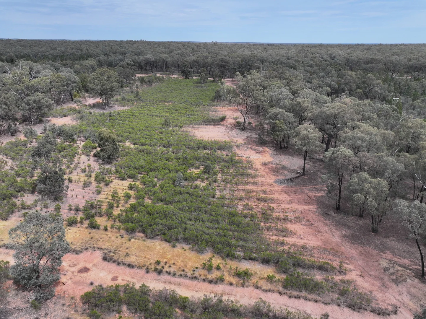 Additional image 12 of 'The Backwoods' 1054 Burley Griffin Way, Temora NSW 2666