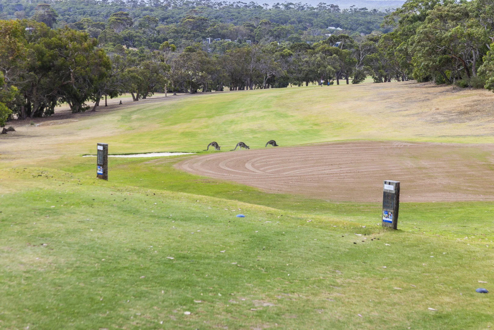 Additional image 19 of 1D McMahon Avenue, Anglesea VIC 3230