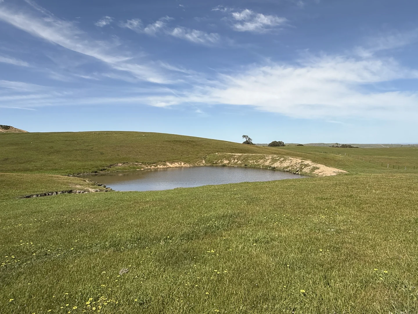 Additional image 11 of Lot 115 Mcgormans Road, Tungkillo SA 5236