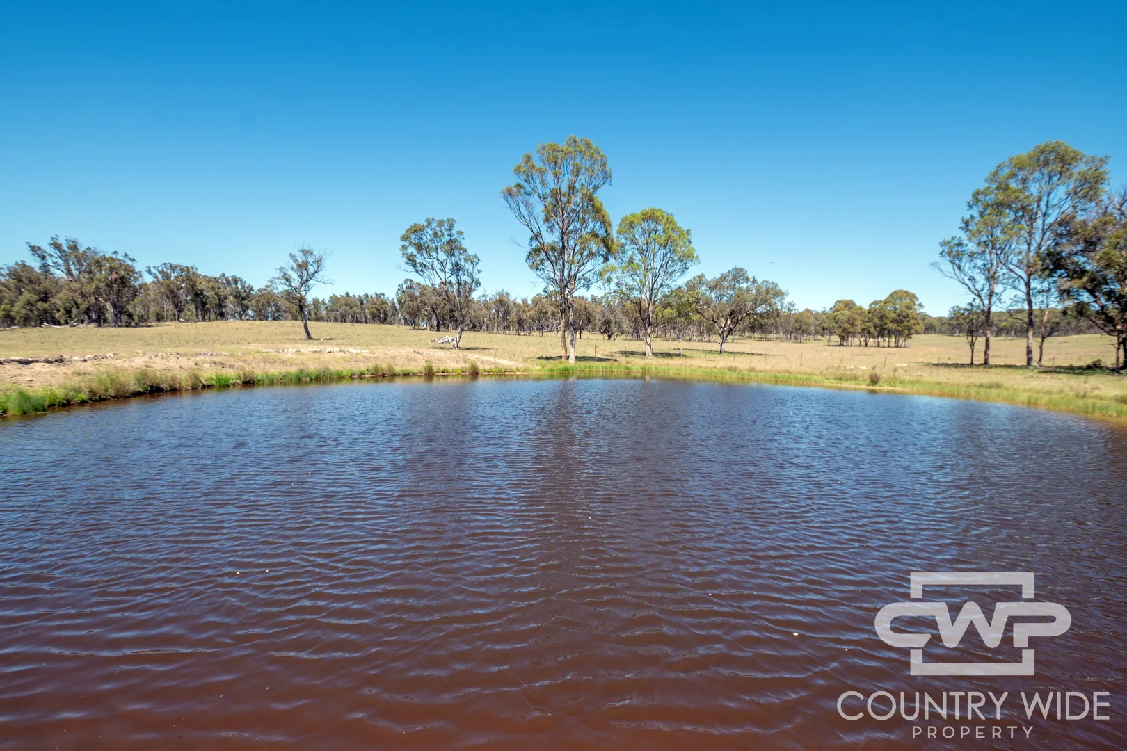 Additional image 21 of 954 Bullock Mountain Road, Glen Innes NSW 2370