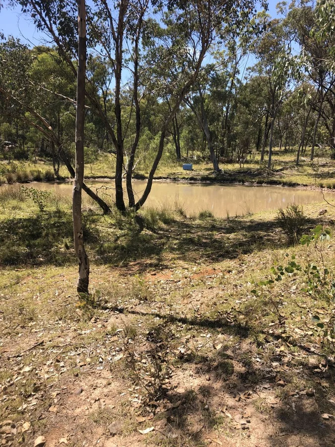 Additional image 9 of Lot 2 Clonmeen Road, Lindesay NSW 2347
