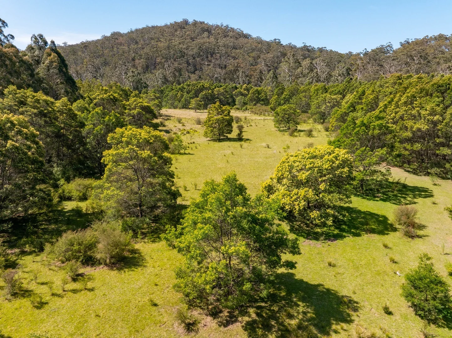 Additional image 8 of 1215 Nethercote Rd, Nethercote NSW 2549