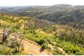 Additional image 15 of Pine Tree Ln, Berry Creek, CA, 95916