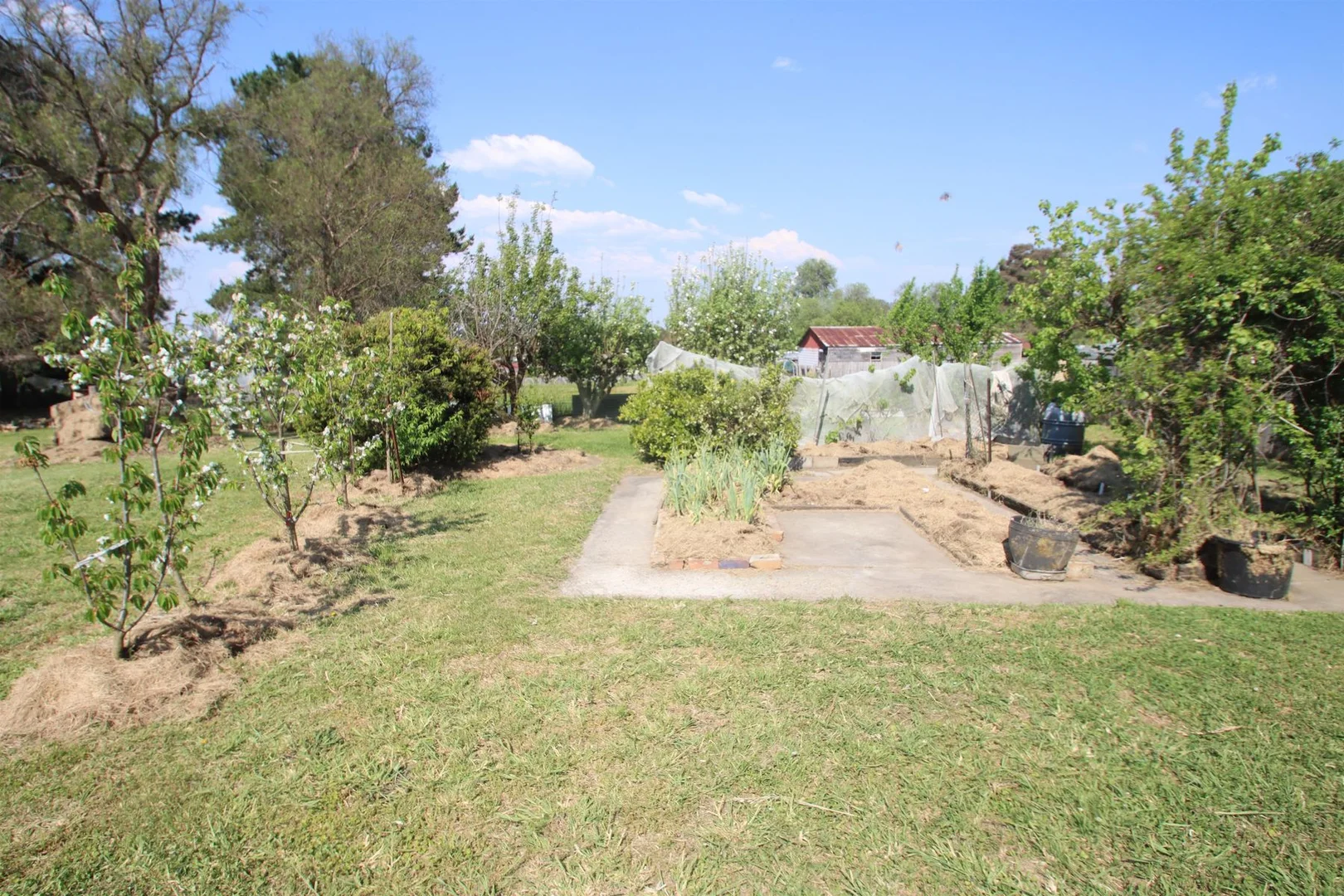 Additional image 29 of 89 Pelham Street, Tenterfield NSW 2372