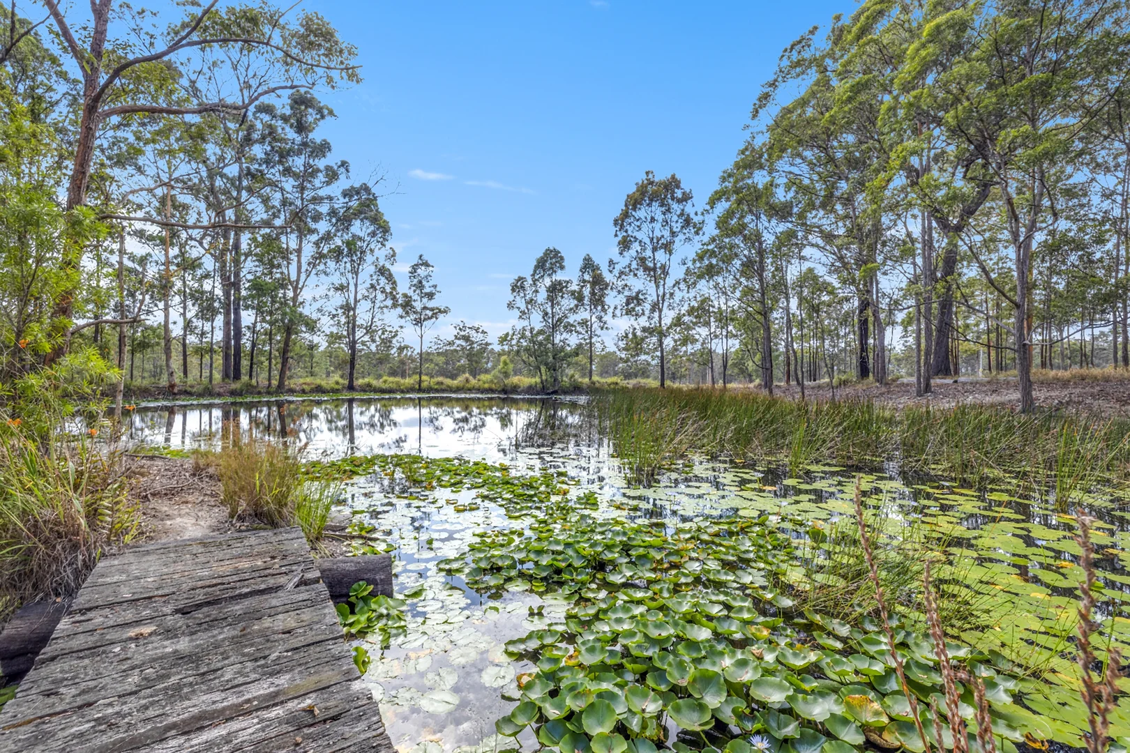 Additional image 26 of 75 Smiths Creek Road, Kundabung NSW 2441