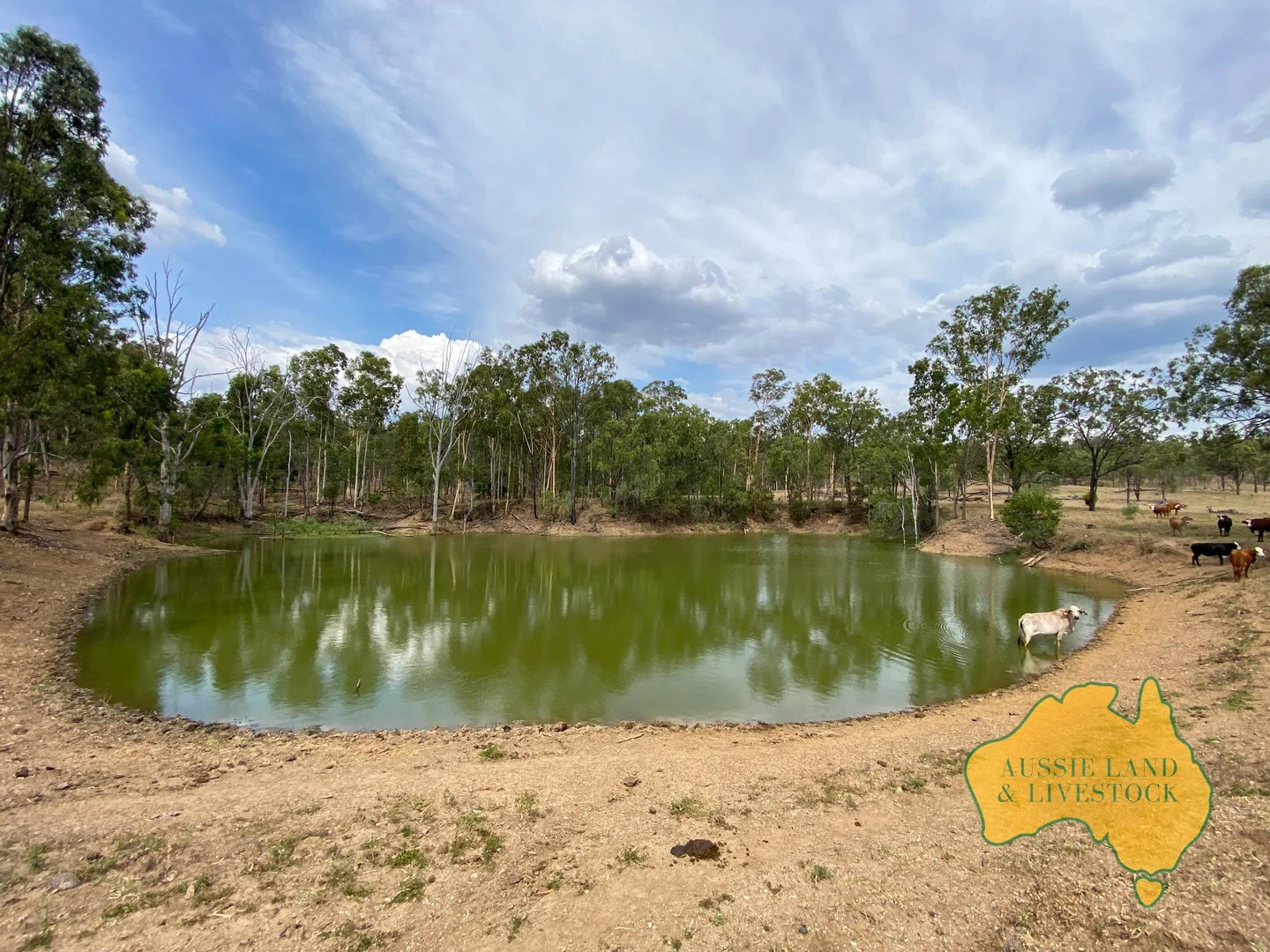 Additional image 10 of 95 Monto Mount Perry Road, Tellebang QLD 4630