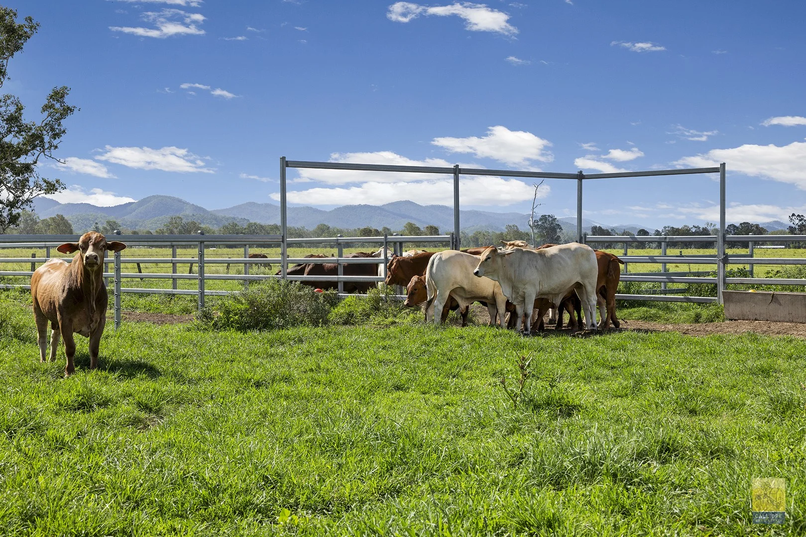 85 Colinwood Lane, Boyne Valley QLD 4680