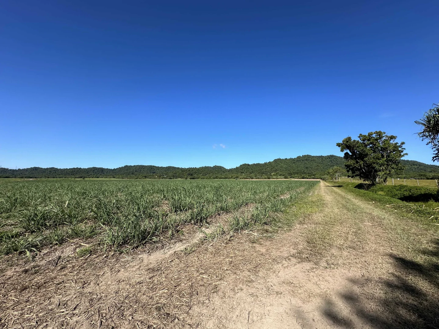 Additional image 23 of East Feluga QLD 4854