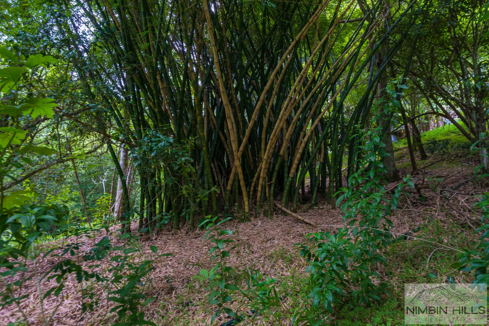 Additional image 40 of 20/265 Martin Road, Larnook NSW 2480