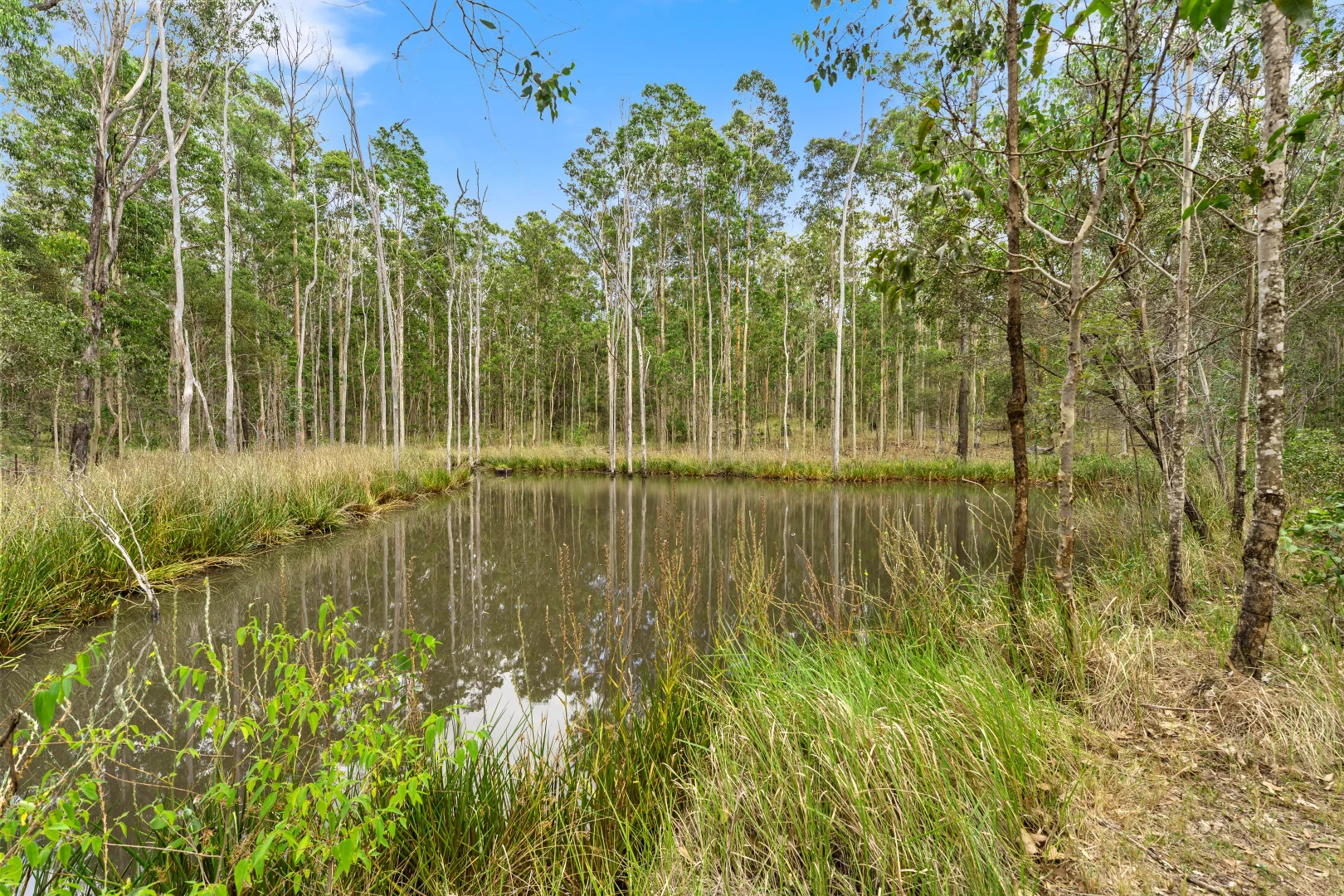 Additional image 7 of Lot 9 Old Six Mile Lane, Glenugie NSW 2460
