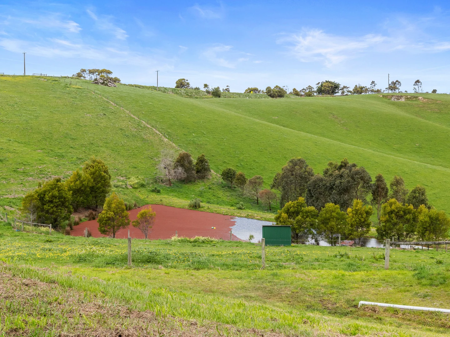 Additional image 19 of 145 South Road, Loch VIC 3945