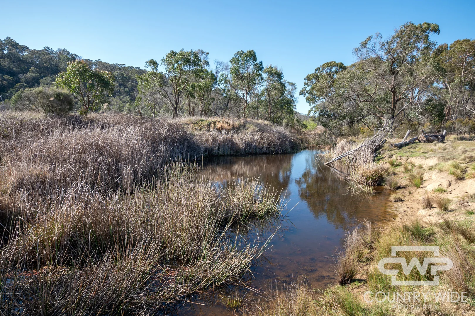 Additional image 13 of 1651 Shannon Vale Road, Shannon Vale NSW 2370