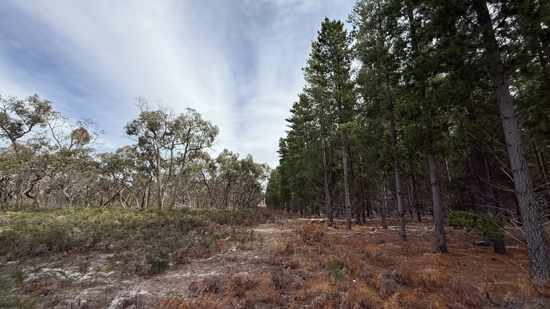 Additional image 21 of Lot 1 Jim Ryans Road, Edenhope VIC 3318