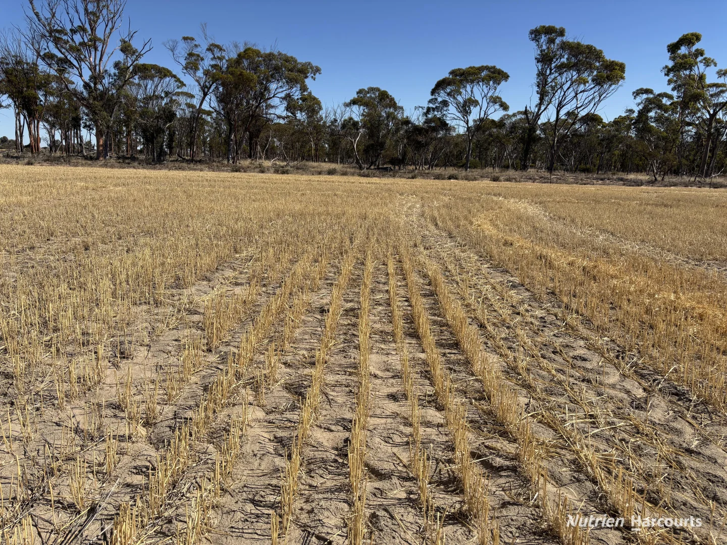 Additional image 16 of . 'Scotts', Yelbeni WA 6487