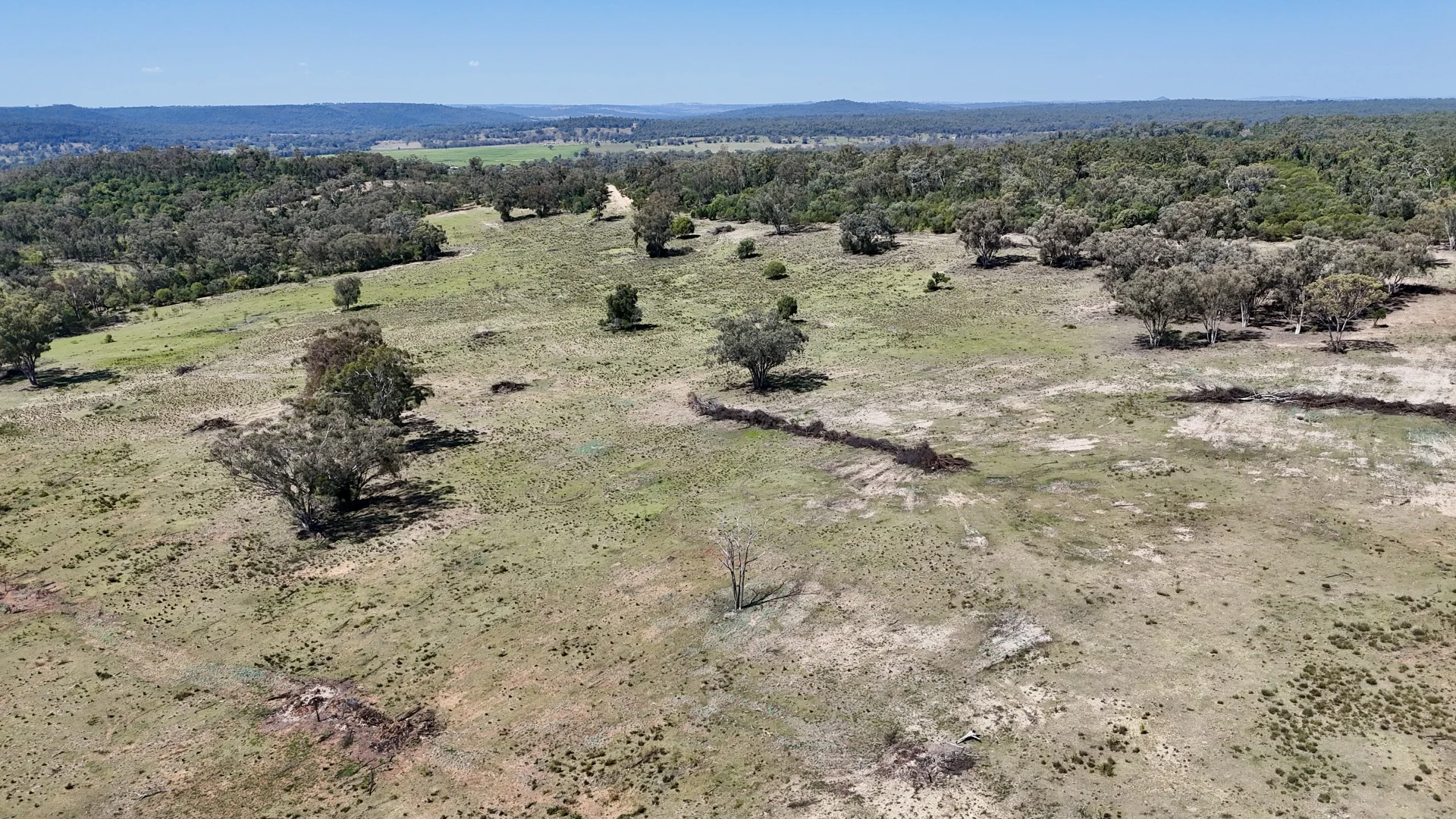 Additional image 9 of "Calamity"/1385 Mosquito Creek Road, Warialda NSW 2402