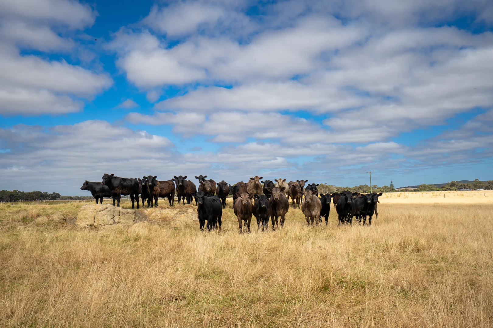 Additional image 5 of 3/43303 South Coast Highway, Manypeaks WA 6328
