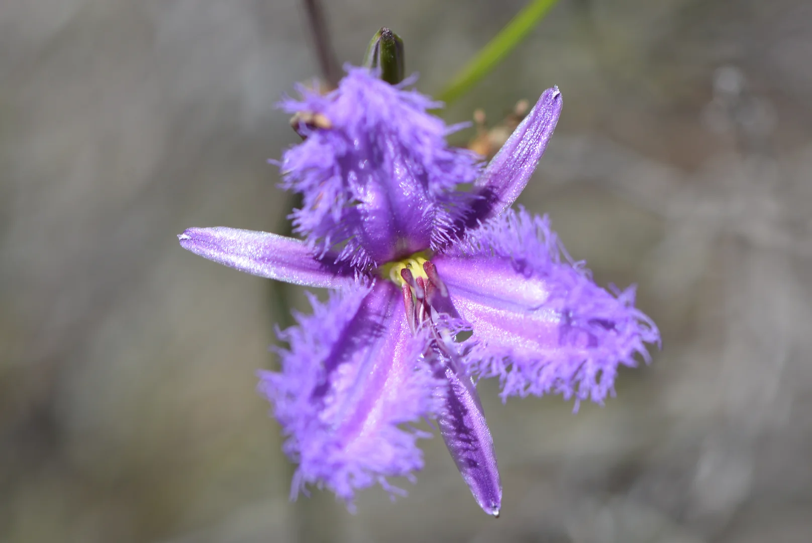 Additional image 28 of 839 Signal Flat Road, Finniss SA 5255