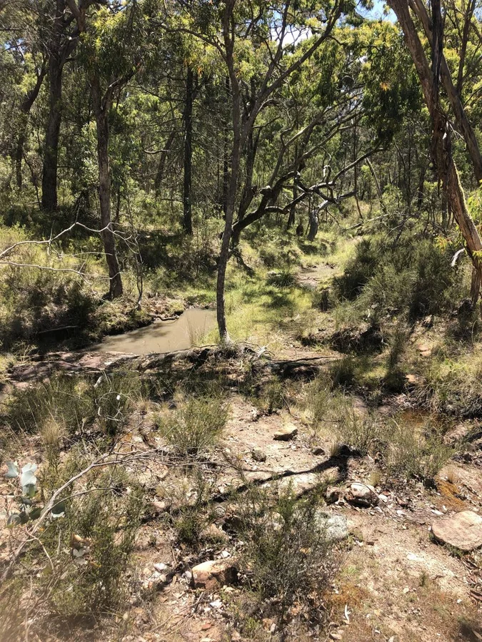 Additional image 3 of Lot 2 Clonmeen Road, Lindesay NSW 2347