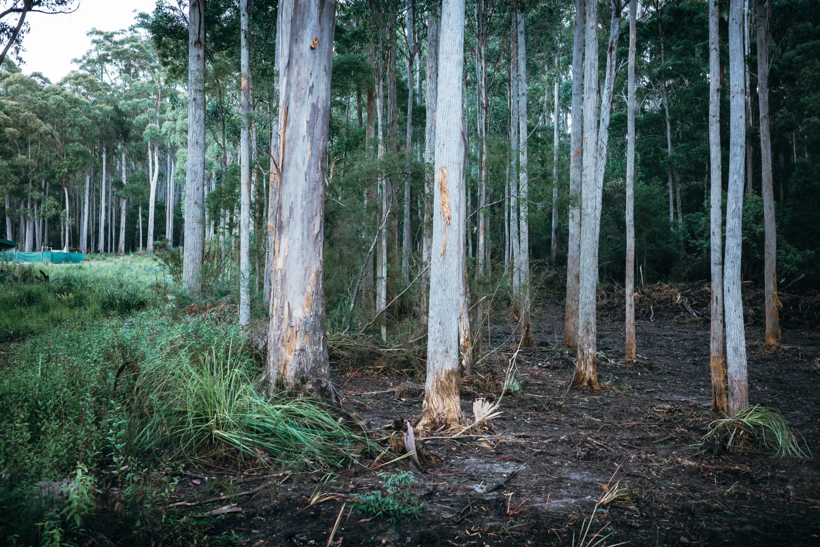 Additional image 10 of 6744 Arthur Highway, Port Arthur TAS 7182