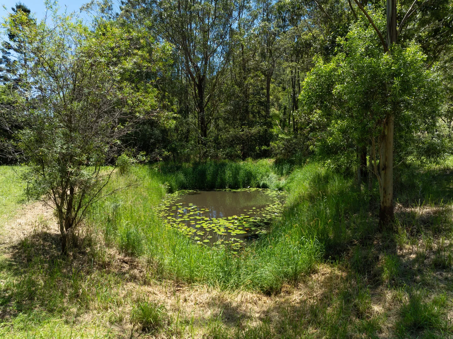 Additional image 27 of 197 Tree Fern Road, Mount Warning NSW 2484