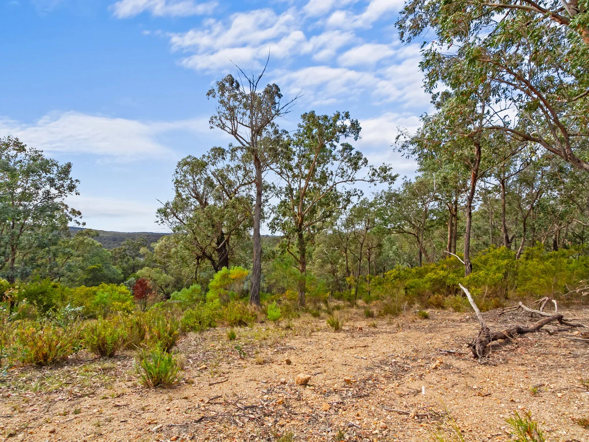 Additional image 27 of 259 Millers Road, Maffra West Upper VIC 3859