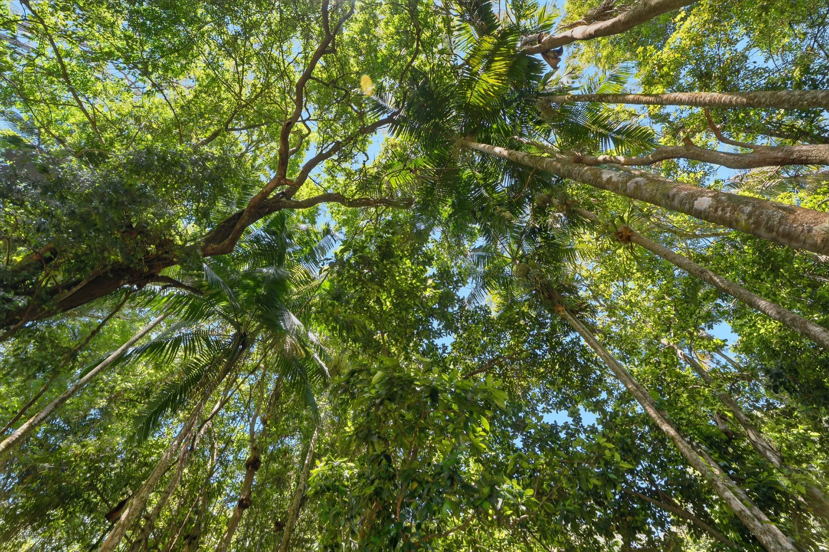 Additional image 34 of 7/55 Picketts Valley Road, Picketts Valley NSW 2251