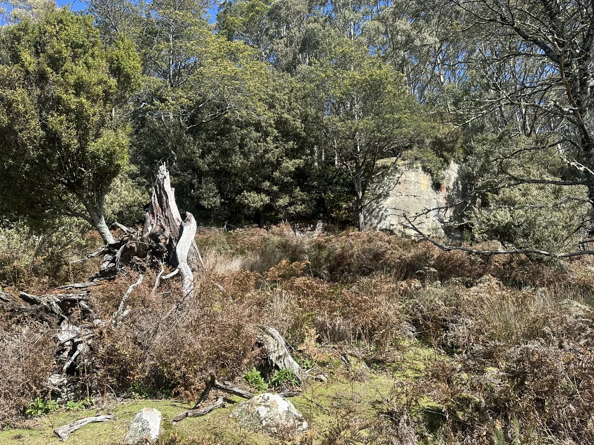 Additional image 15 of 12627 Highland Lakes Road, Golden Valley TAS 7304