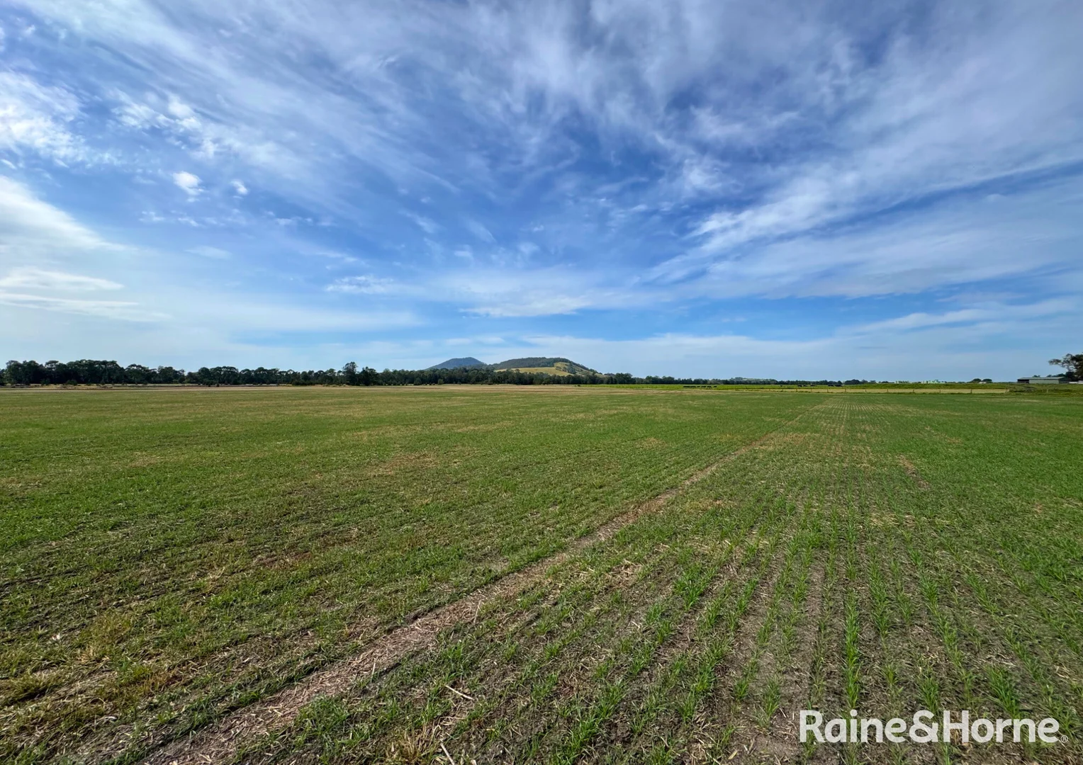 Additional image 12 of 210 Jennings Lane, Bolong NSW 2540