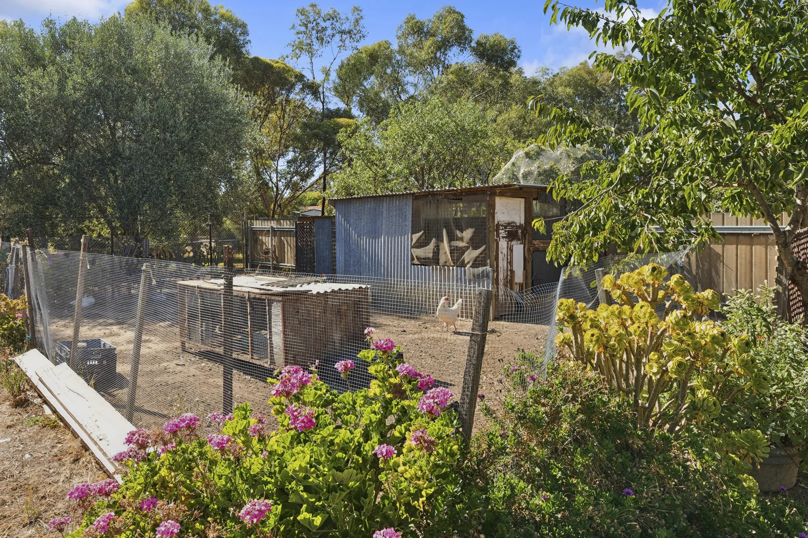 Additional image 16 of 12 Gowrie Street, Tatura VIC 3616