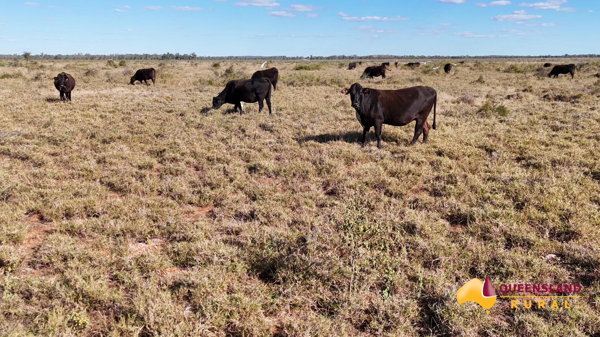 Additional image 20 of Llanarth QLD 4820