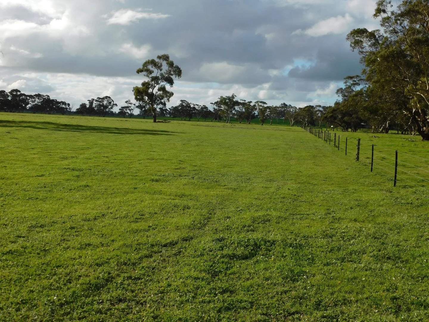 Additional image 5 of 1878 Cannawigara Road, Bordertown SA 5268