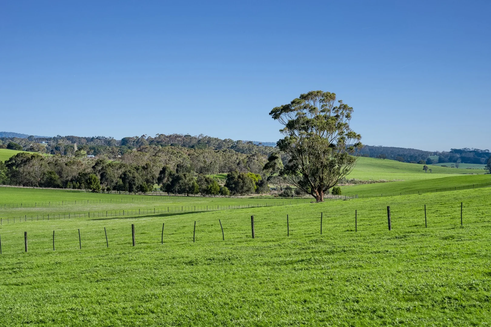 Additional image 6 of 60 Pennyroyal Valley Road, Deans Marsh VIC 3235