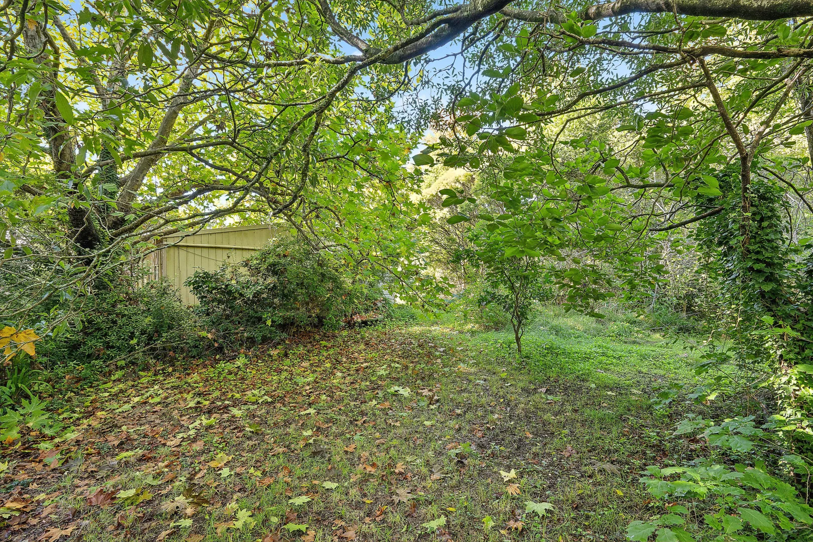 Additional image 4 of 66 Waratah Road, Wentworth Falls NSW 2782