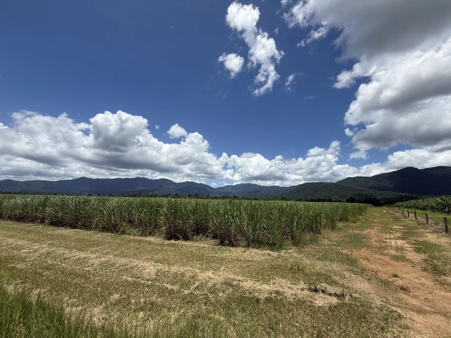 Additional image 9 of 53 Scougall Road, Jarra Creek QLD 4854