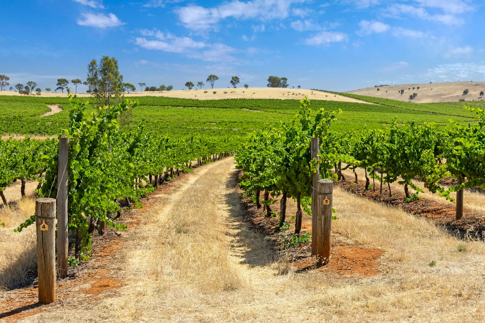 Additional image 17 of Lot 20 Spring Farm Road, Spring Farm SA 5453