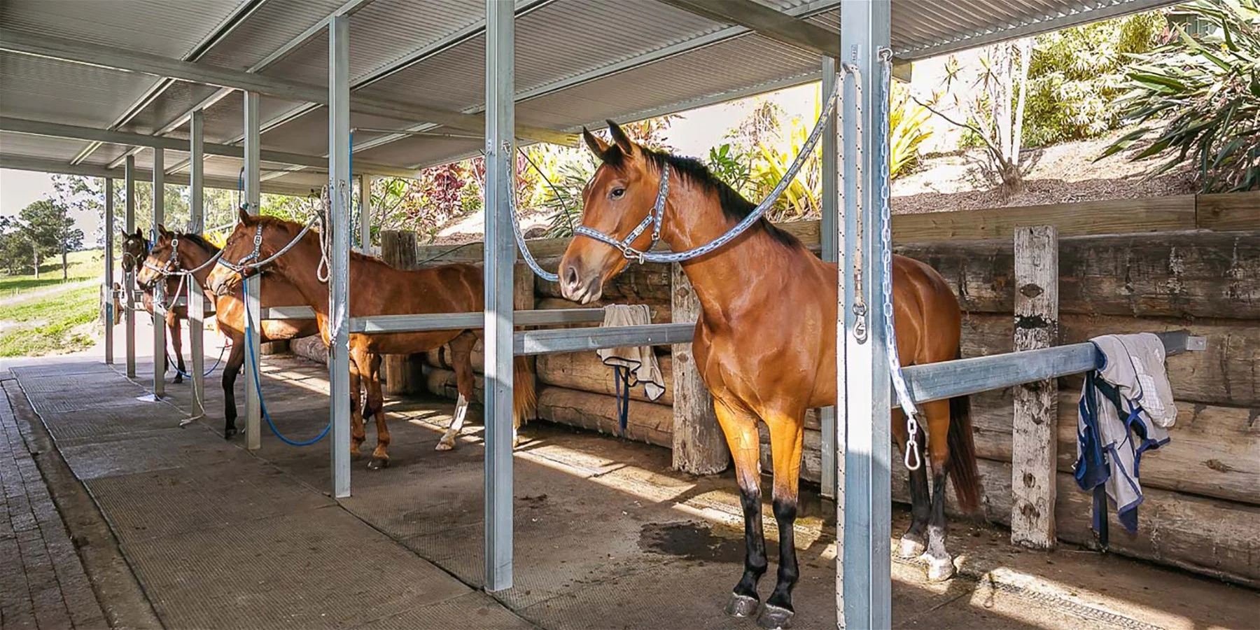 Additional image 19 of 611 Biddaddaba Creek Road, Biddaddaba QLD 4275