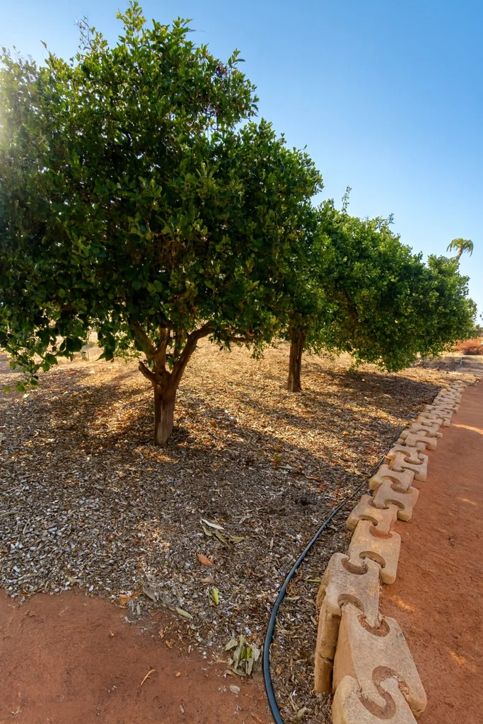 Additional image 20 of 600 South River Road, South Plantations WA 6701