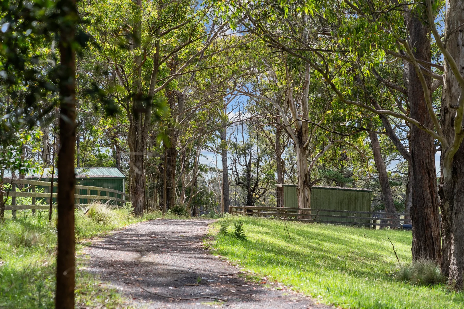 Additional image 22 of 233 Wallaby Hill Road, Robertson NSW 2577