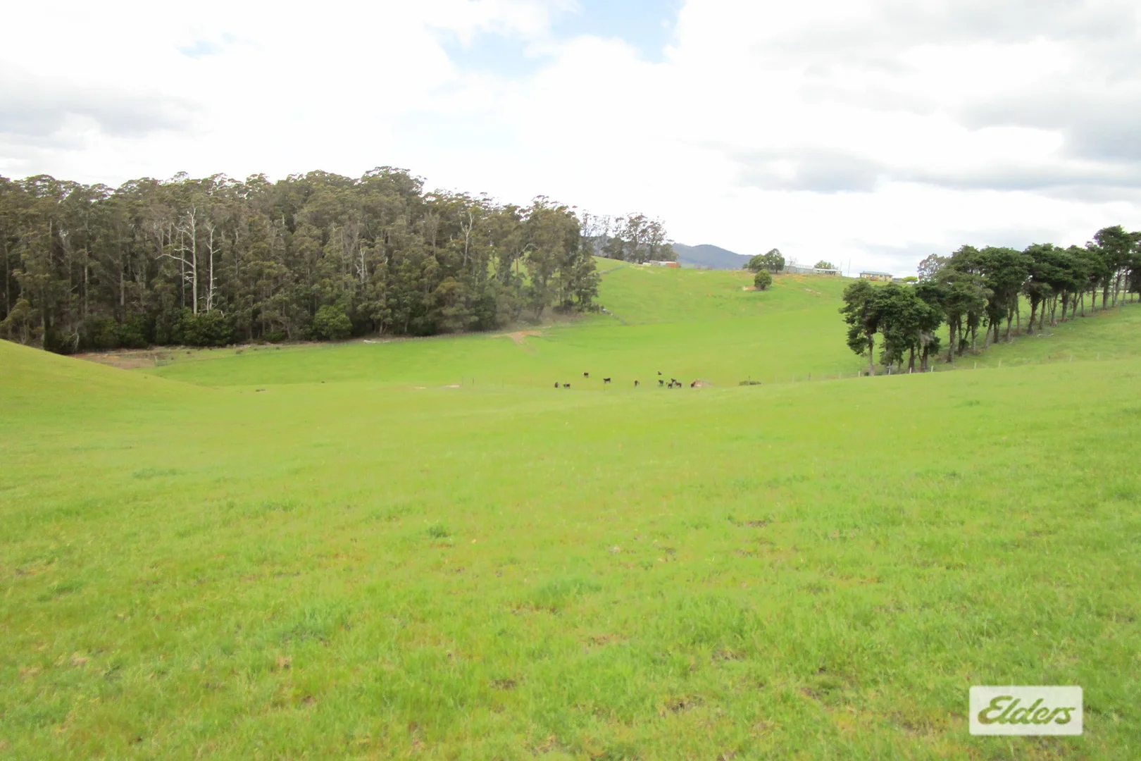 Additional image 5 of 921 Melrose Road, Melrose TAS 7310