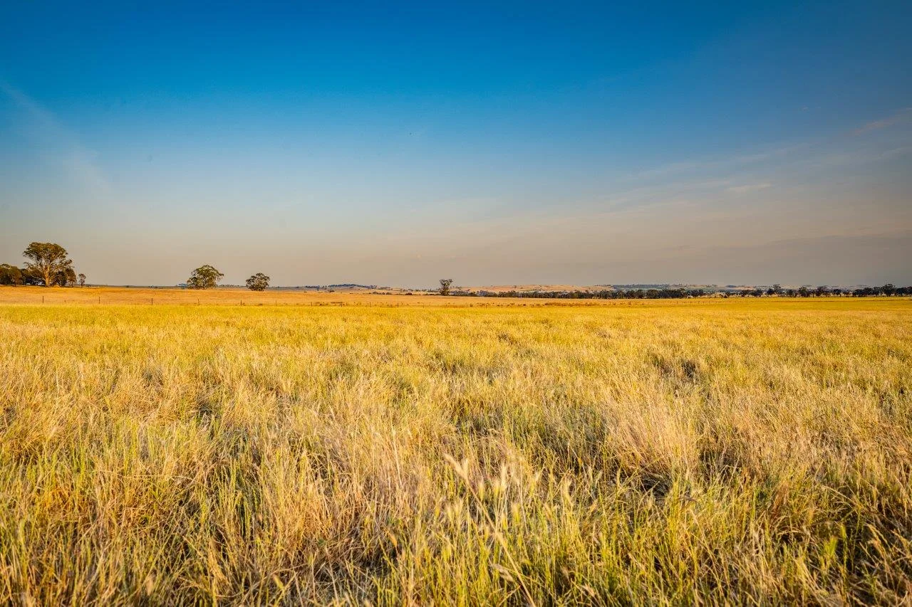 Additional image 6 of CA59D&59C Plain Road, Heathcote VIC 3523