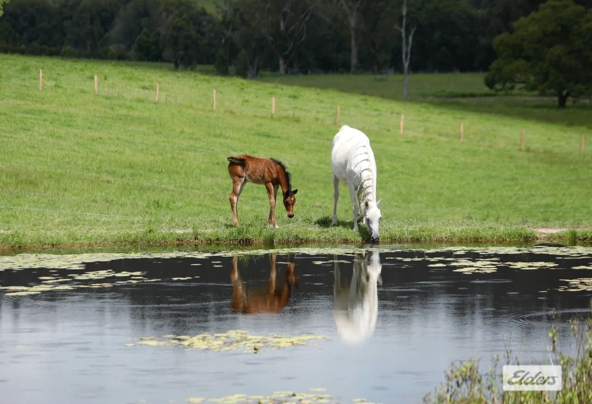 Additional image 23 of Upper Lansdowne NSW 2430