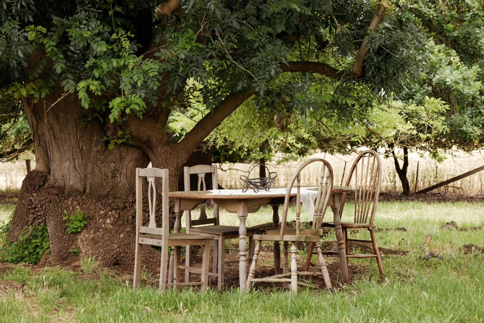 Additional image 25 of 440 Hamilton-Chatsworth Road, Tarrington VIC 3301