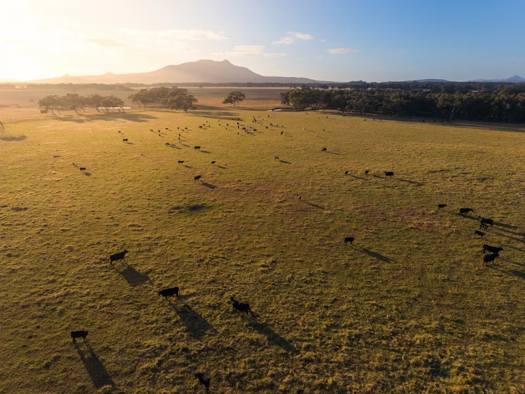 3/43303 South Coast Highway, Manypeaks WA 6328