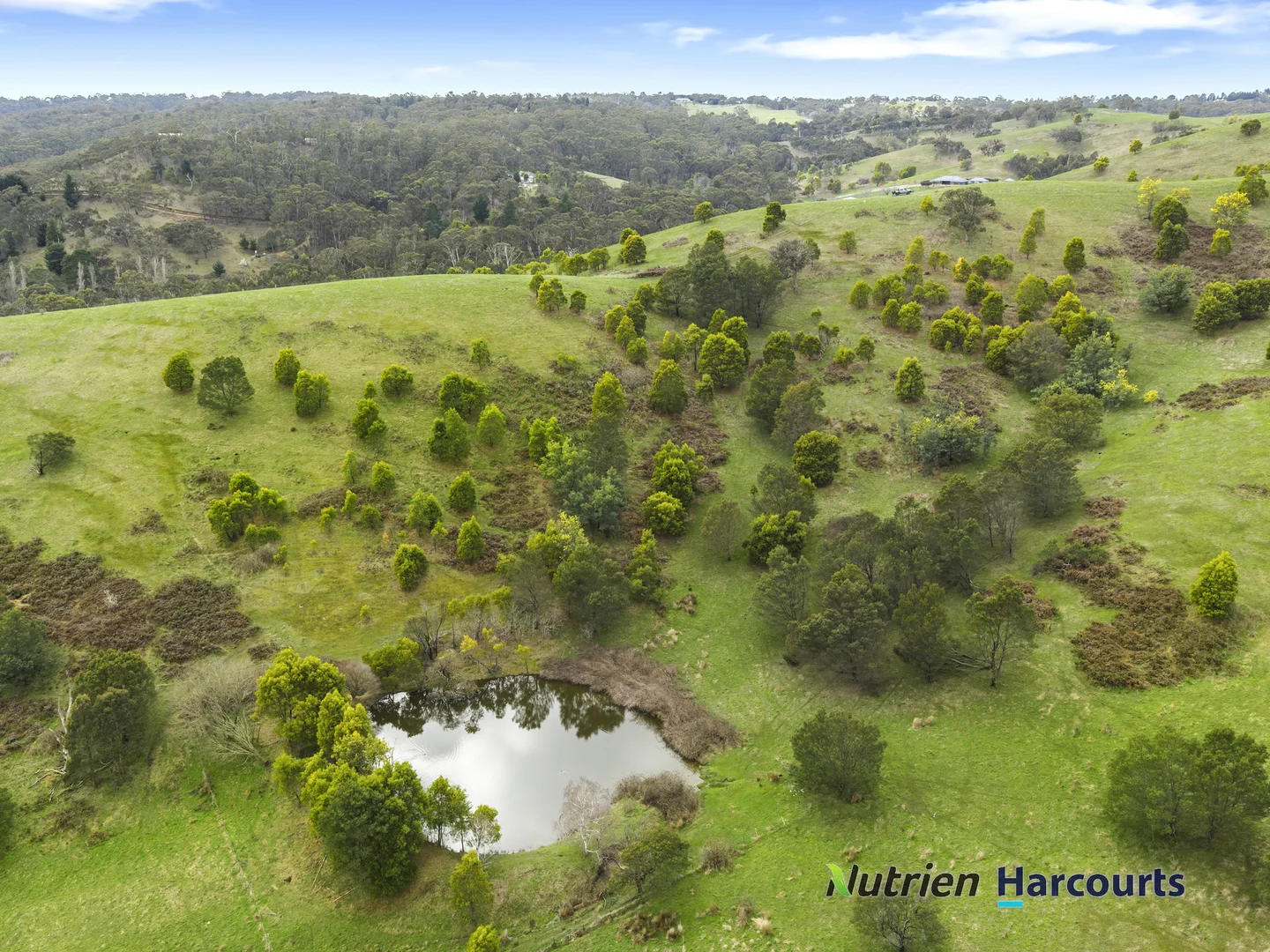Additional image 11 of 3918 Whittlesea-Yea Road, Flowerdale VIC 3717
