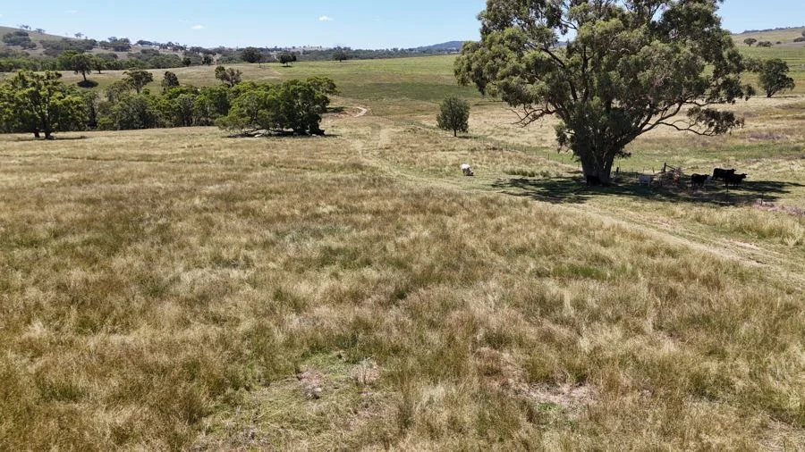 Additional image 3 of 190 BROWN SPRINGS ROAD, Coolah NSW 2843