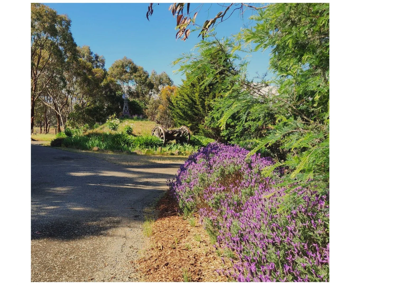 Additional image 18 of 71 Thornhill Lane, Elphinstone VIC 3448