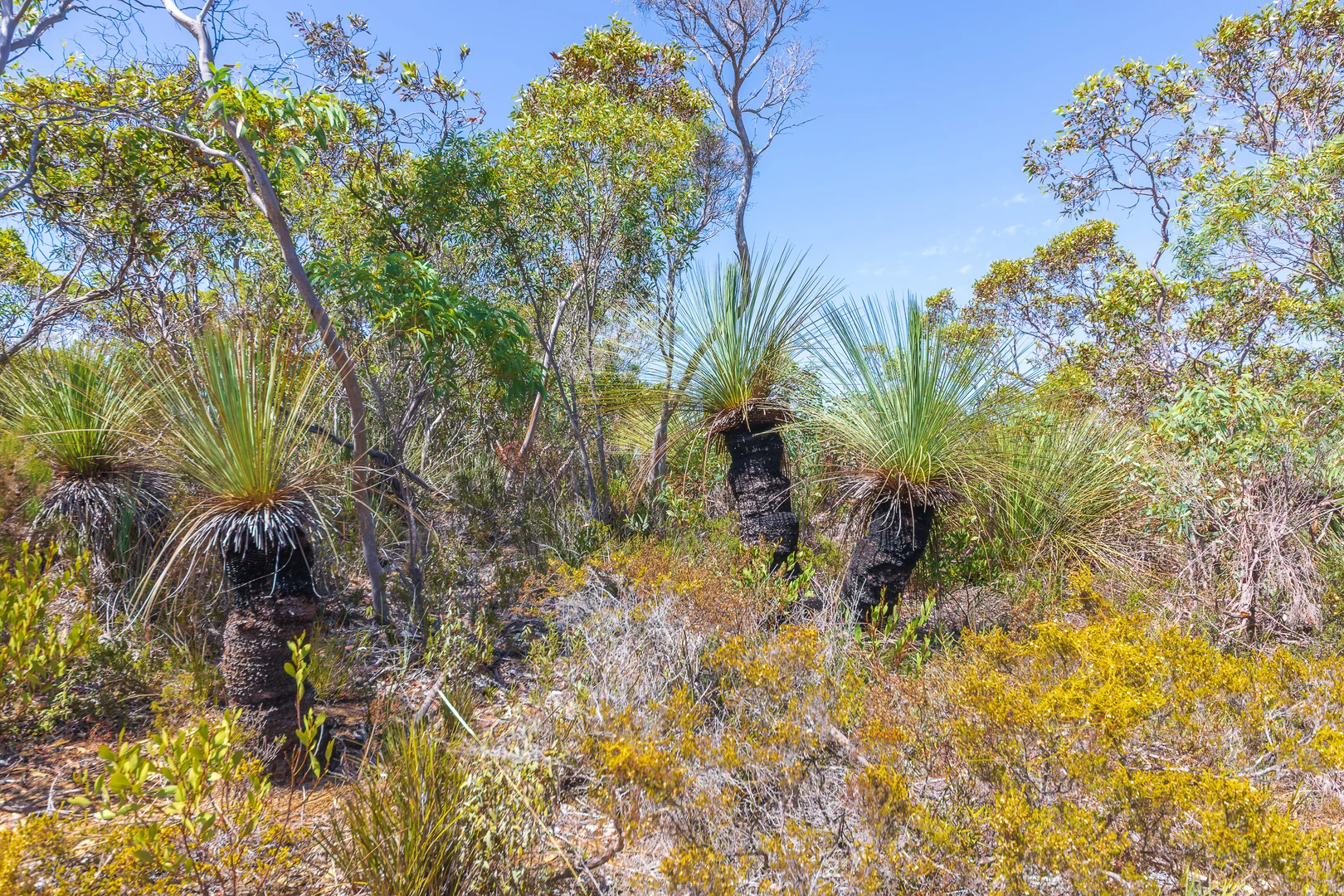 Additional image 7 of 2 Proper Bay Road, Duck Ponds SA 5607