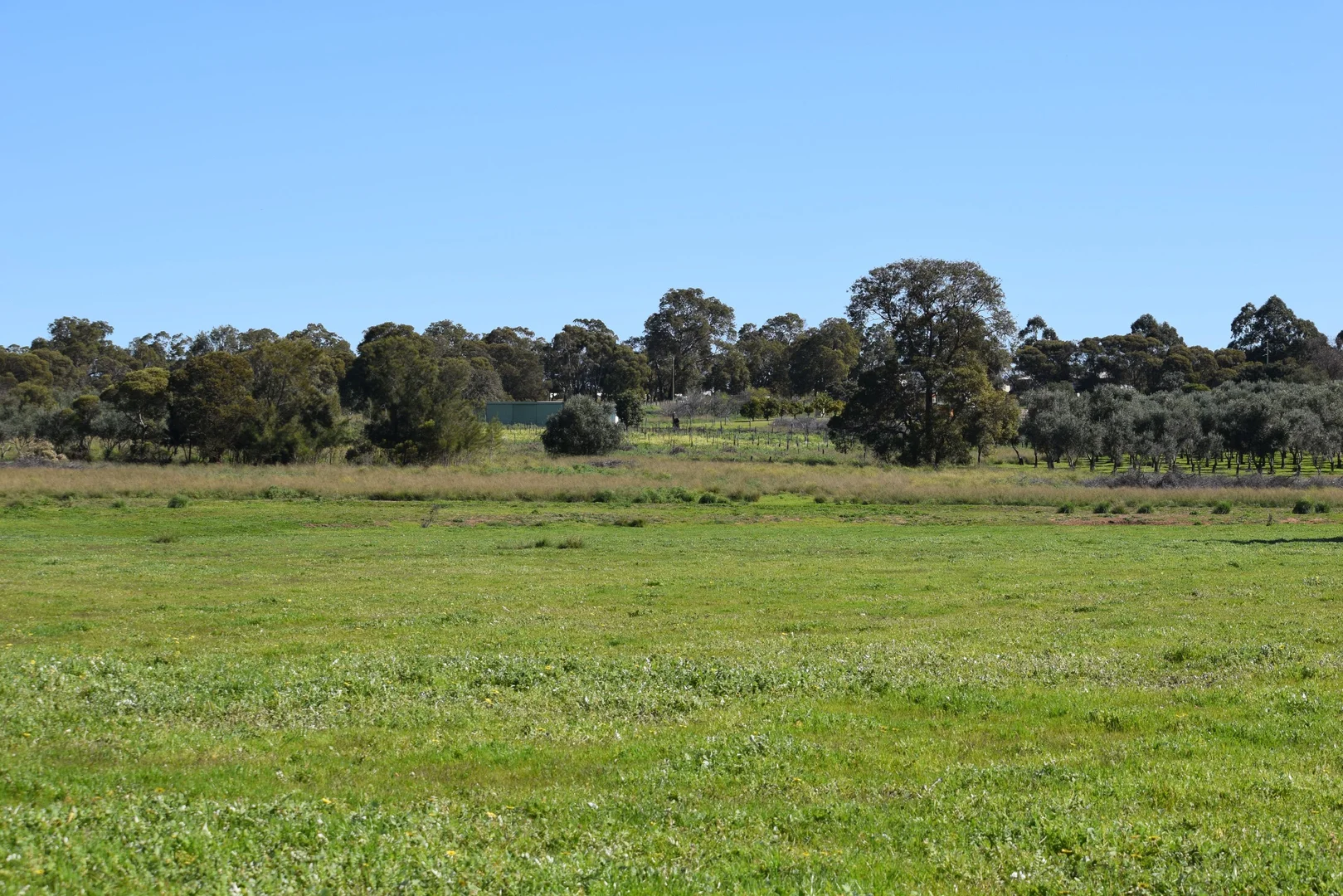 Additional image 12 of 62 Cheriton Road, Gingin WA 6503